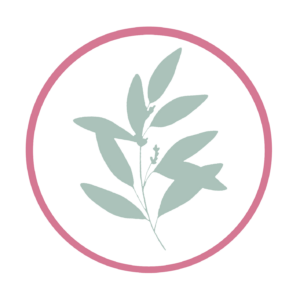 LifeCare.icon.transparent